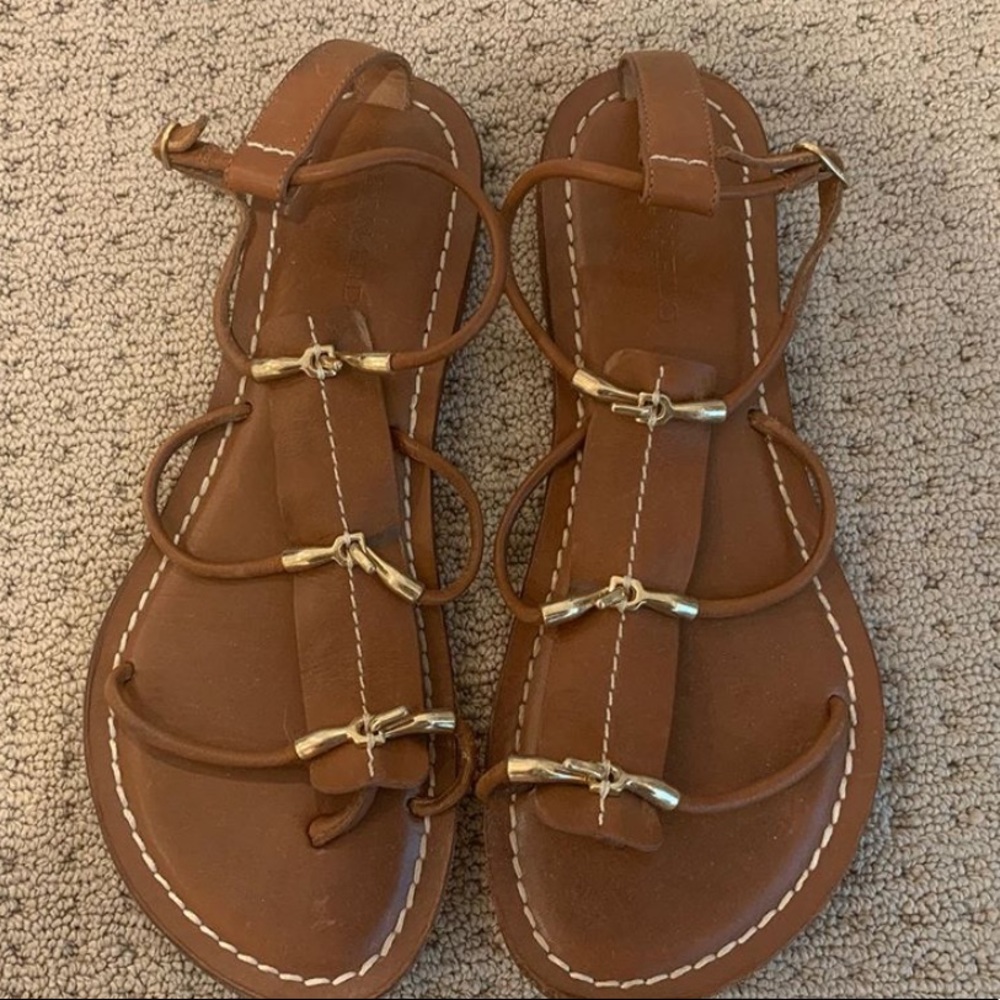Brown Bernardo Sandals with gold buckle